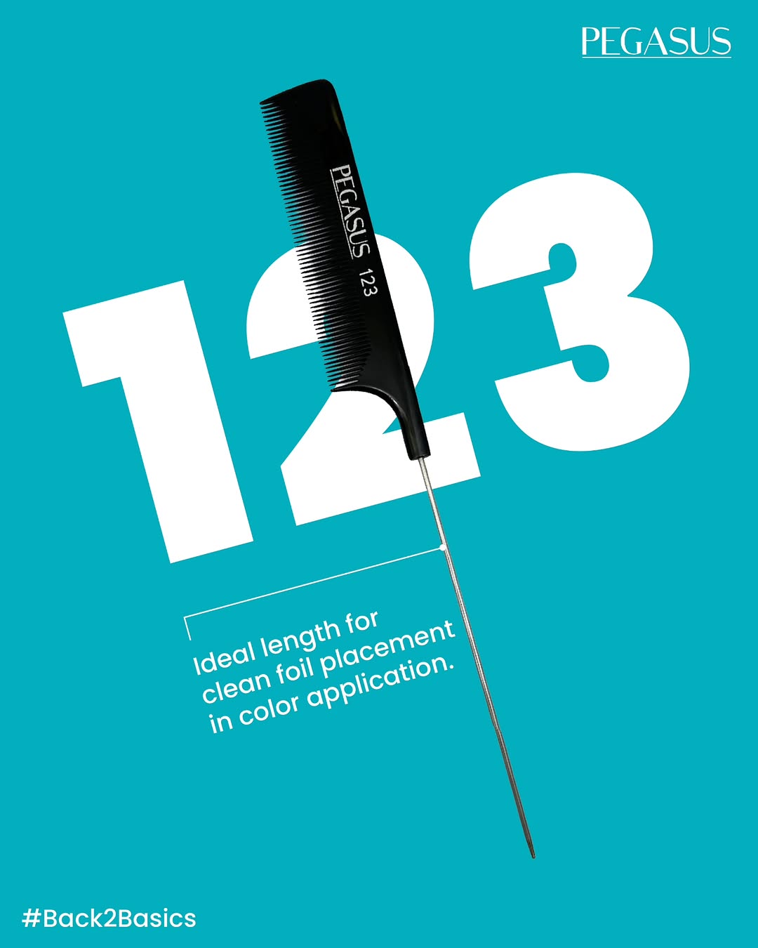 Pegasus 123 per sezionature precise