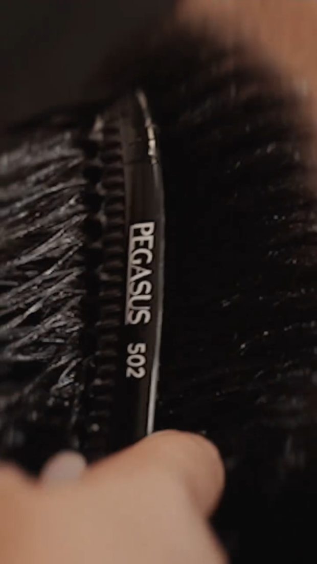 Pegasus Combs dietro la poltrona